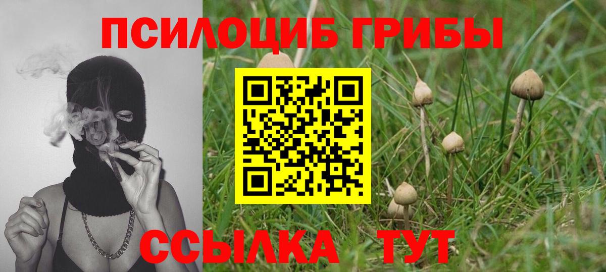 Дзержинский  Галлюциногенные грибы Magic Shrooms  Вход с VPN 